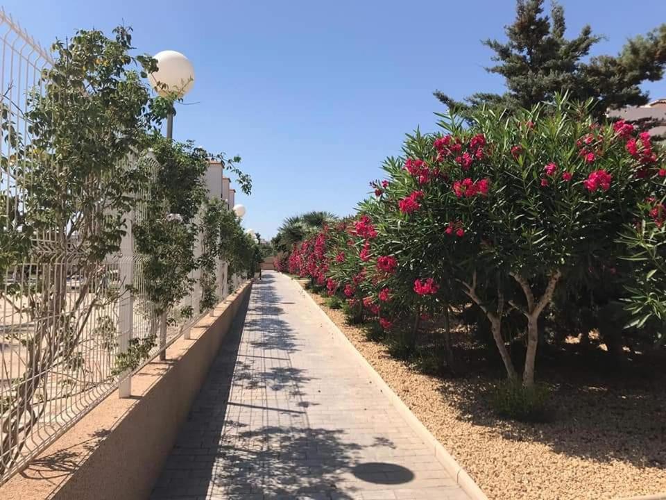 Apartmán Casa Punta Prima Orihuela Exteriér fotografie